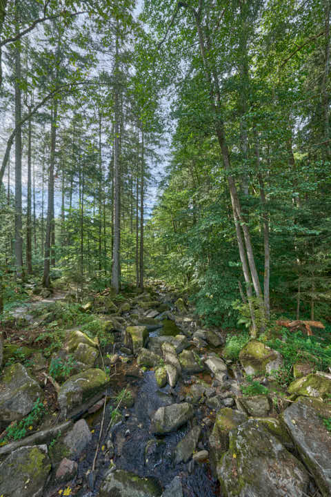 Gemeinde Waldkirchen Landkreis Freyung-Grafenau Saußbachklamm (Dirschl Johann) Deutschland FRG